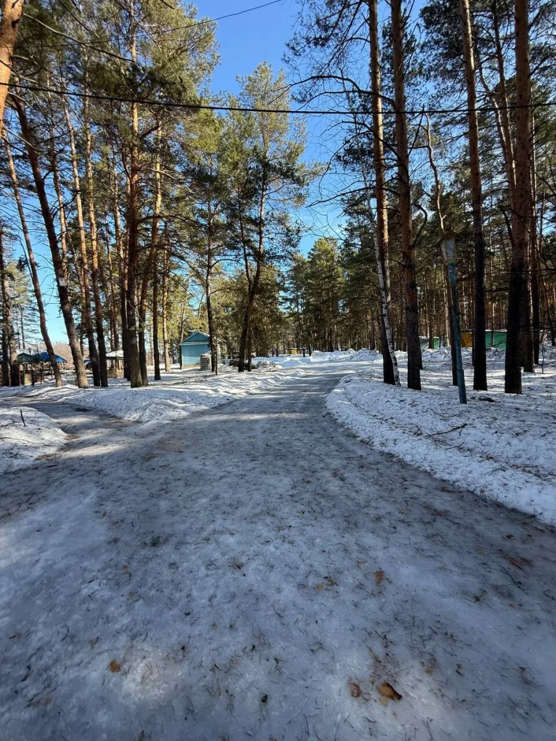 Сердобский район