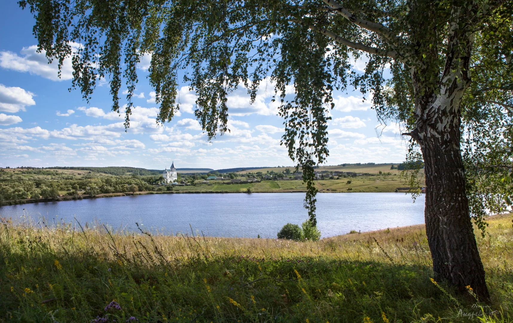 Сердобский район