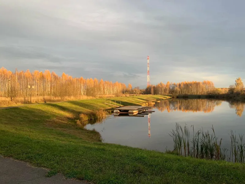 Домодедово, городской округ Домодедово, Каширское шоссе, 64-й километр